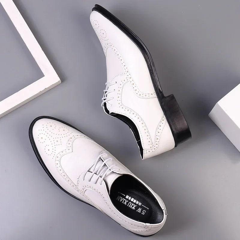 Loafer Cavlleri Oxford